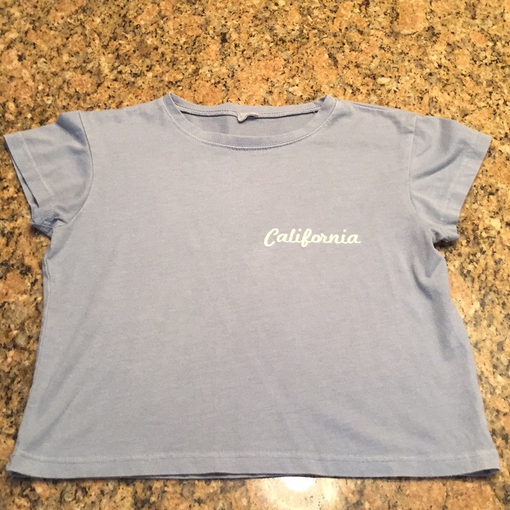 Brandy Melville John Galt blue crop top